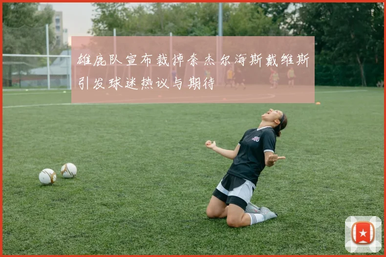 雄鹿队宣布裁掉奈杰尔海斯戴维斯引发球迷热议与期待